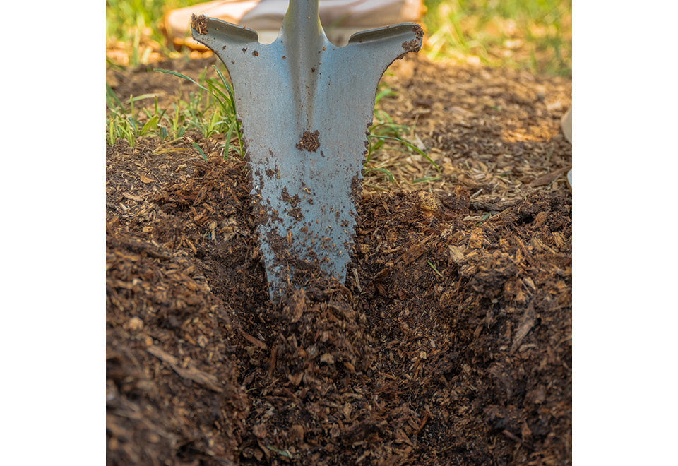 Root Slayer Nomad - image 4