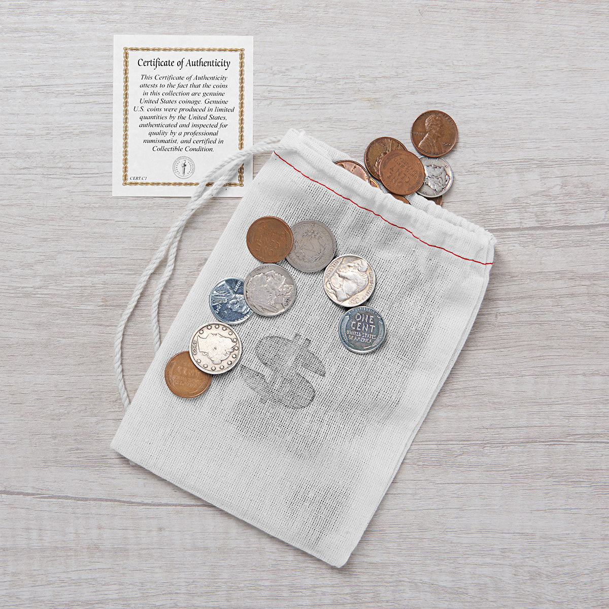 60 Historic Coin Bankers Bag