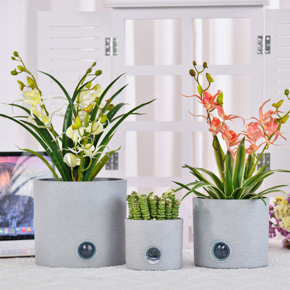 Self-Watering Cylinder Pot System for Indoor Plants (Set of 3)
