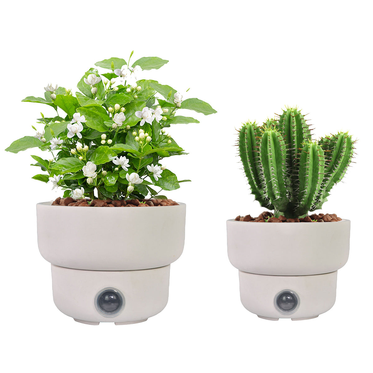 Self-Watering Low Bowl Pot System for Indoor Plants (Set of 2) - image 2