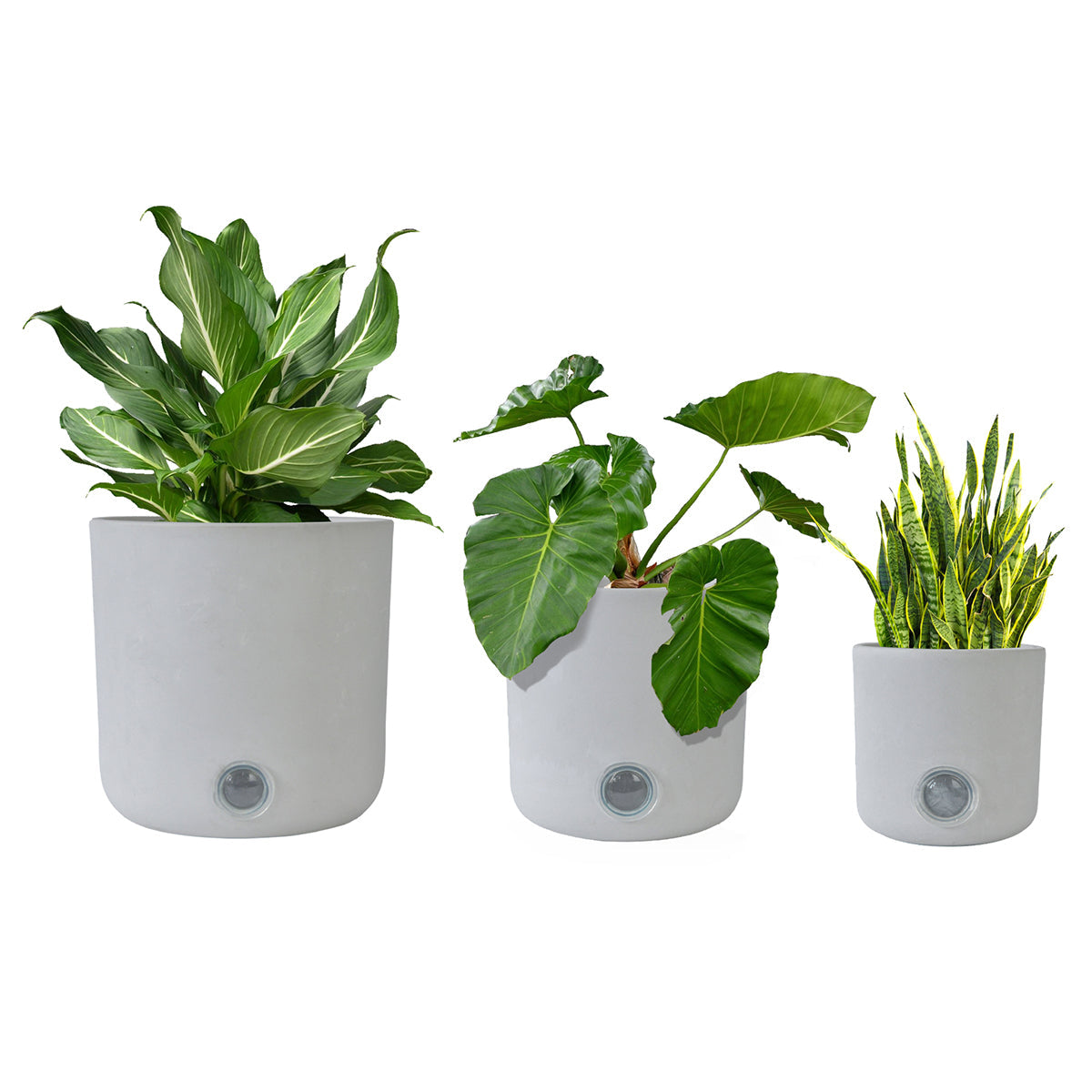 Self-Watering Tall Cylinder Pot System for Indoor Plants (Set of 3) - image 2