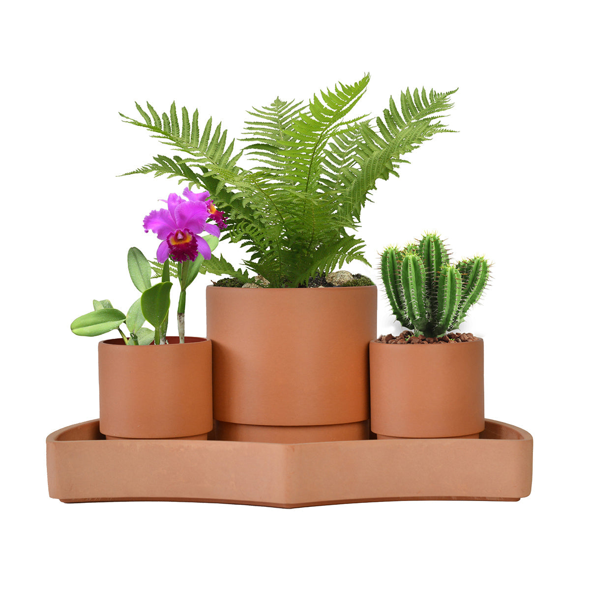 Tabletop Self-Watering Pot System for Indoor Plants (Set of 3) - image 2