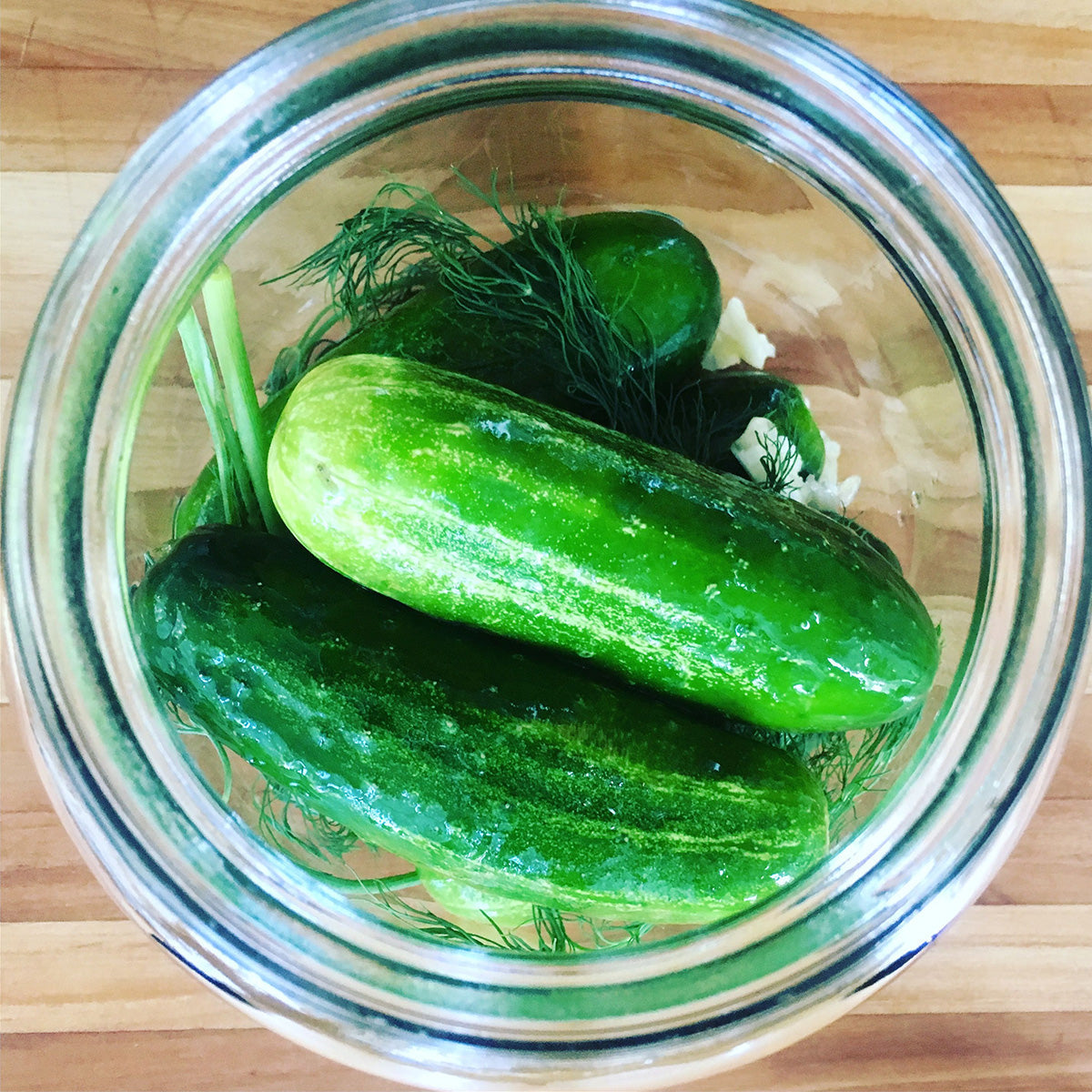 Lacto-Pickle Making Kit - image 2