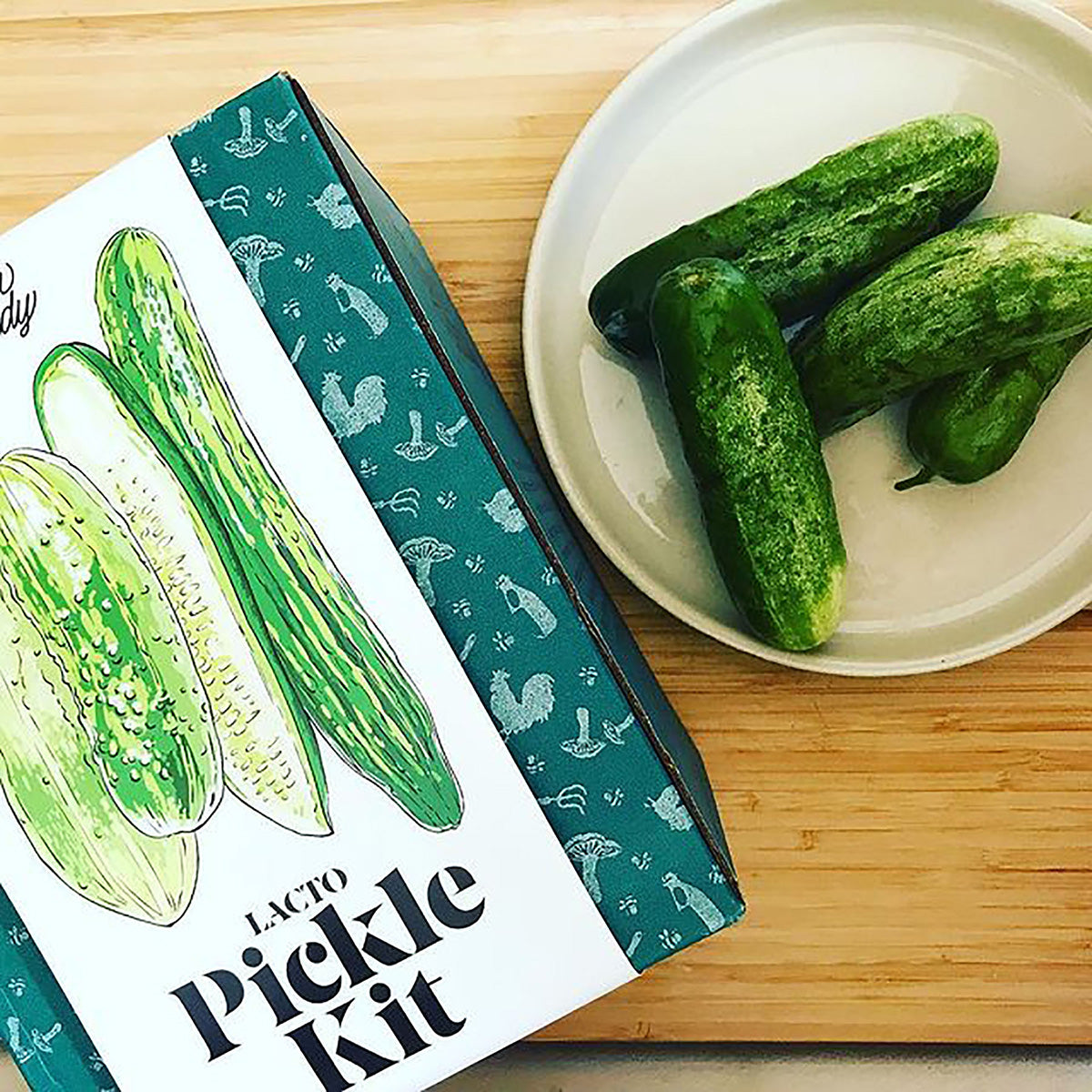 Lacto-Pickle Making Kit - image 3
