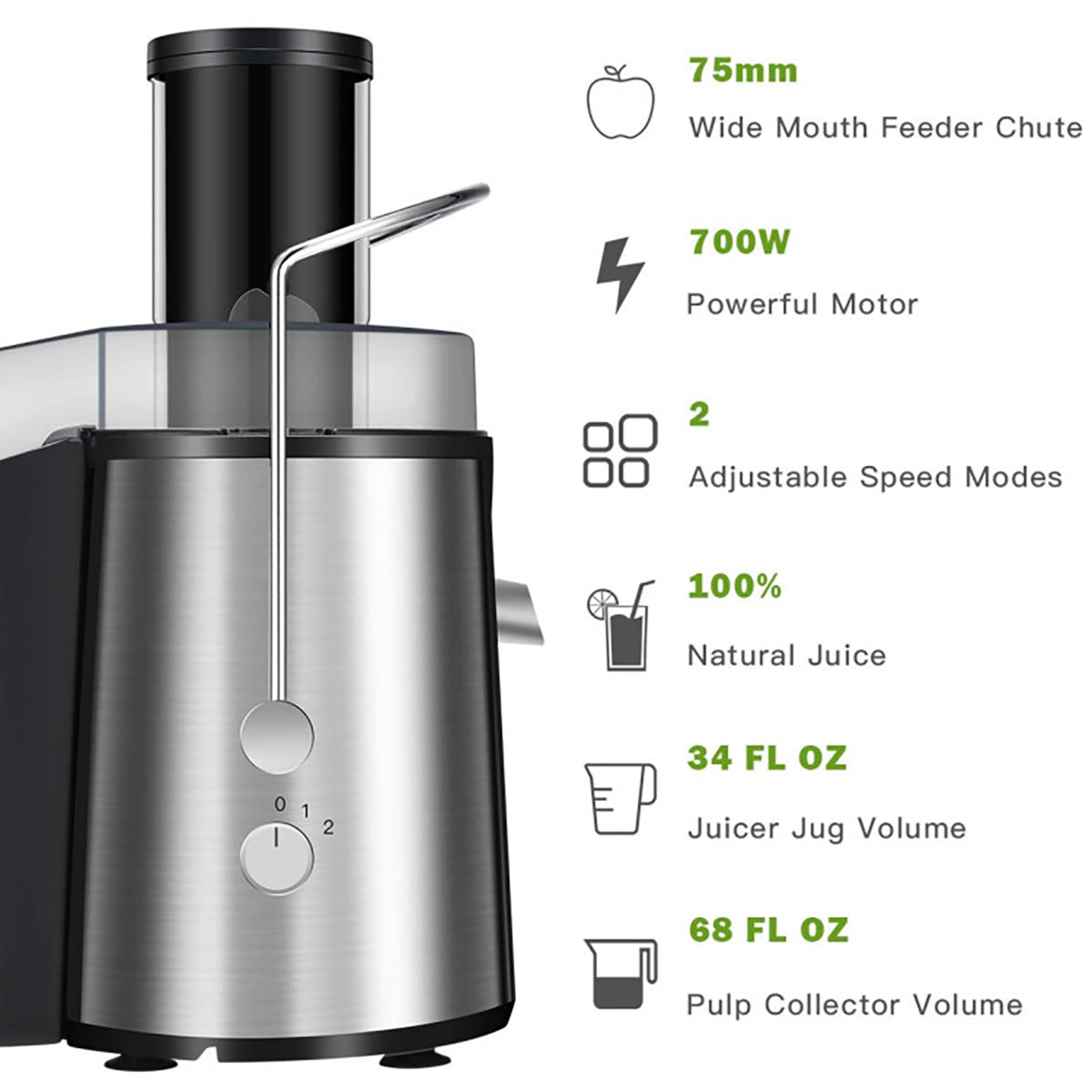 2-Speed Electric Juice Press - image 7