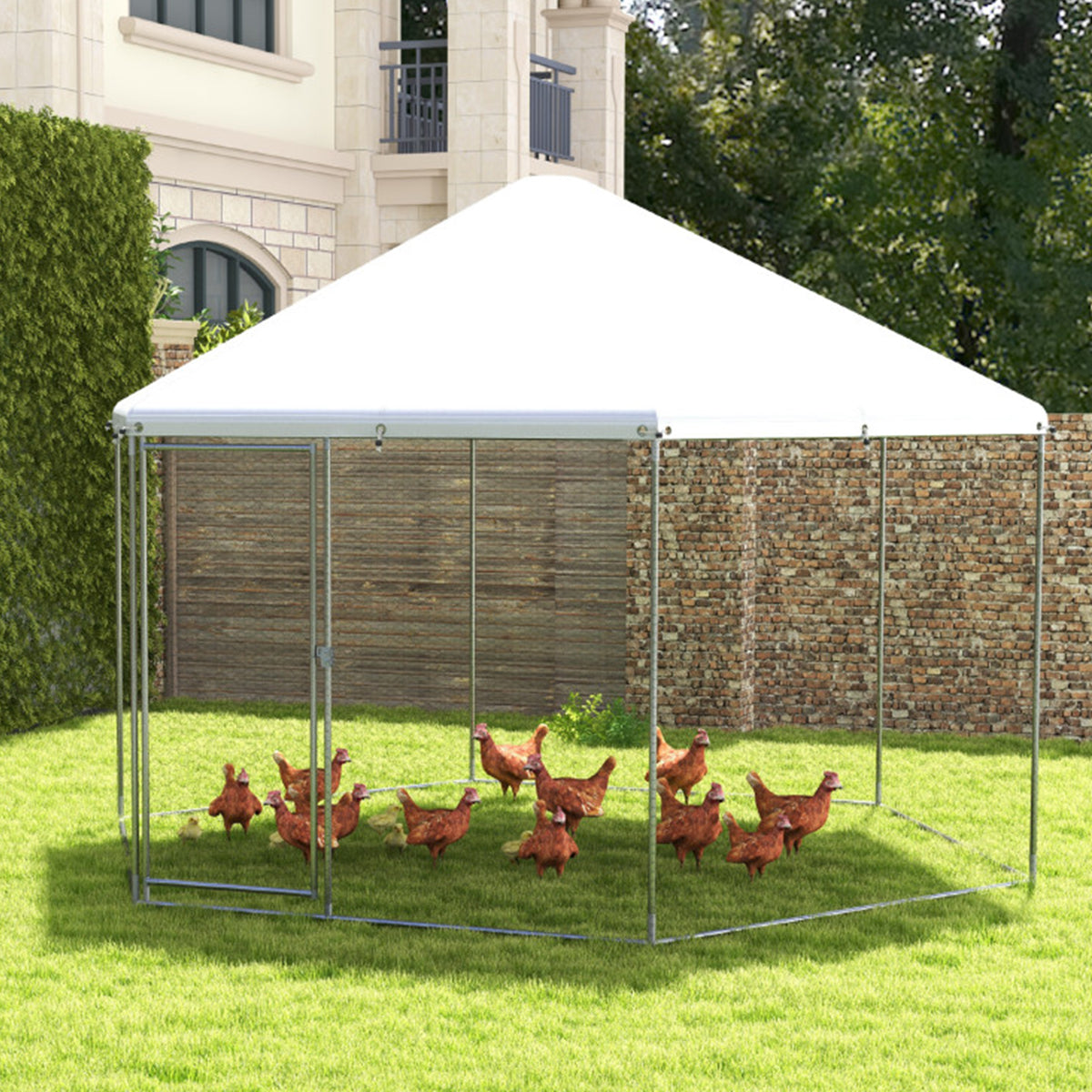 13' Wire Mesh Hexagonal Chicken Coop