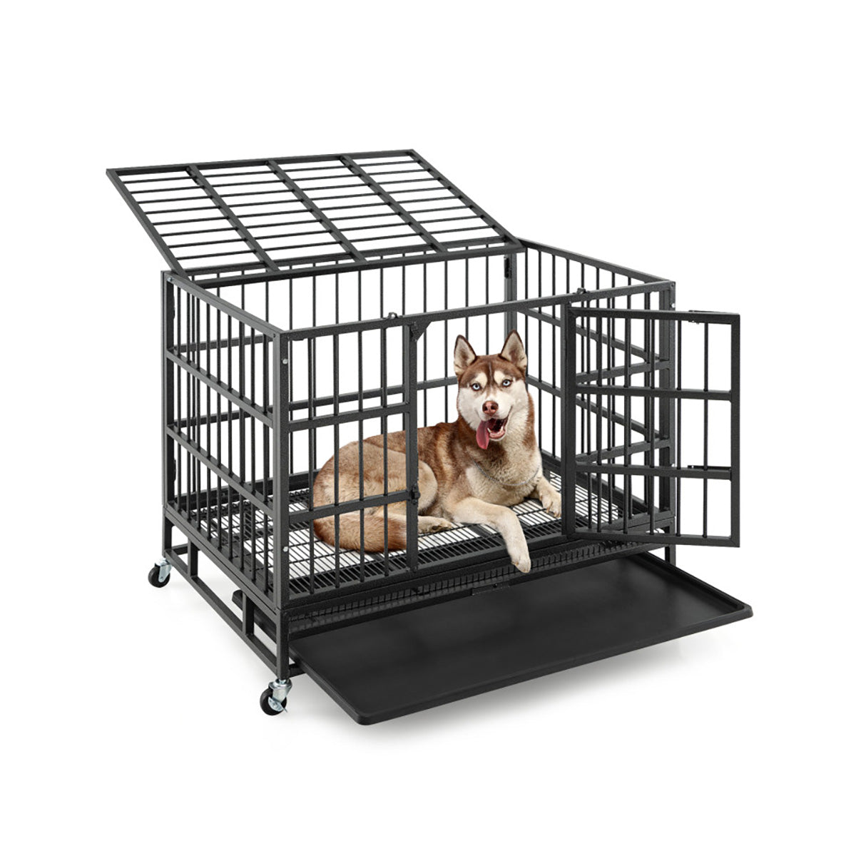 Foldable Heavy-Duty Metal Dog Cage - image 2