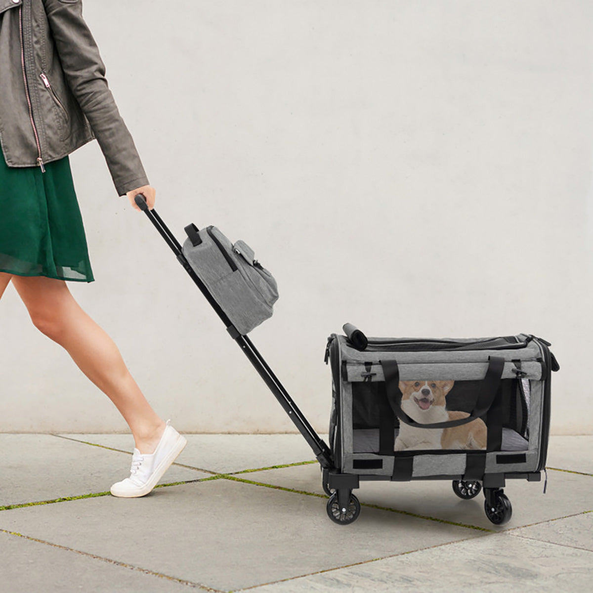 Soft Rolling Pet Carrier