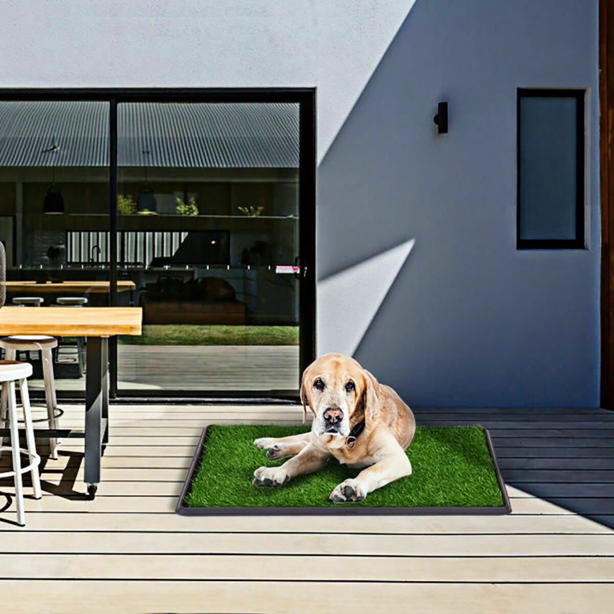 Artificial Grass Puppy Potty Trainer - image 5
