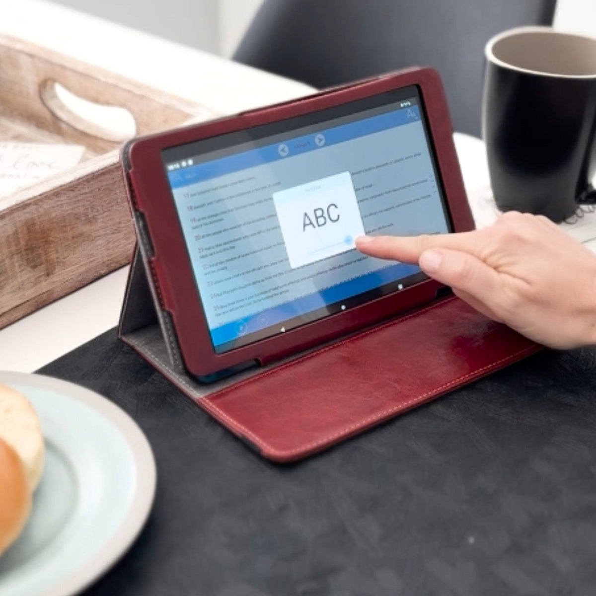 e-Bible Digital E-Reader and Audio Player - image 11