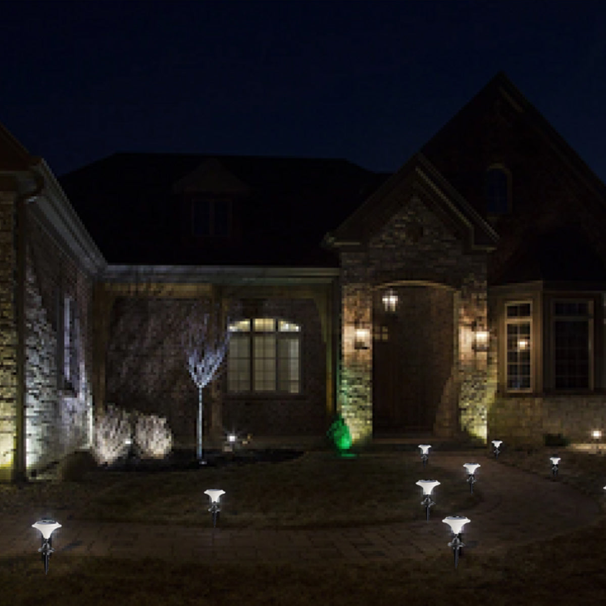 Solar-Powered LED Martini Lamp Lights (Set of 2) - image 2