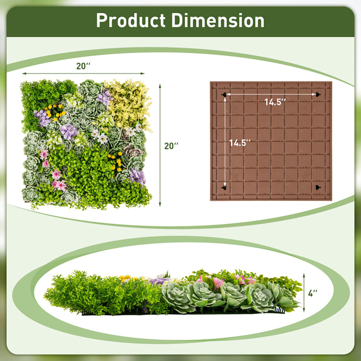 3D Hanging Succulents (Set of 2) - image 7