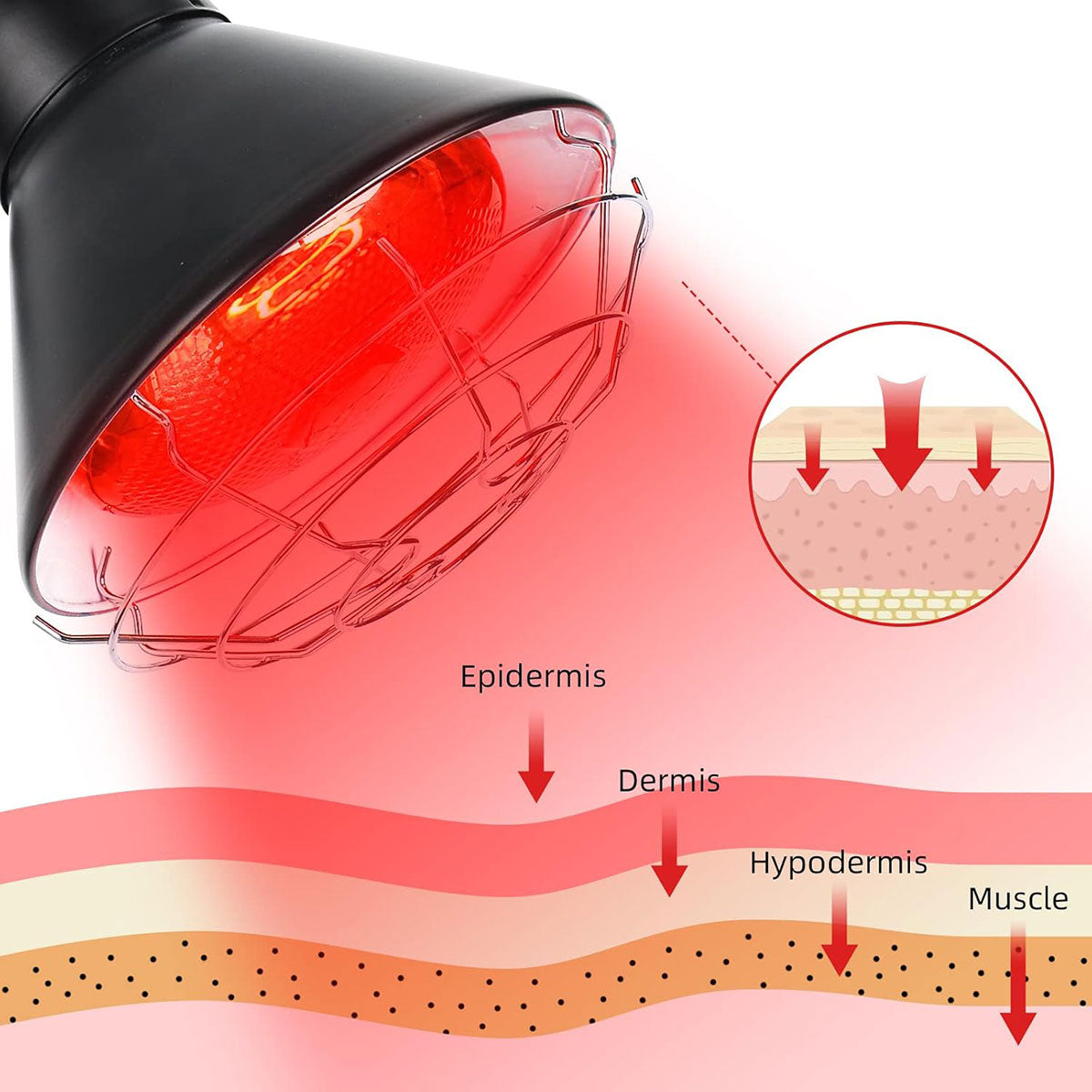 Infrared Light Therapy Lamp - image 3