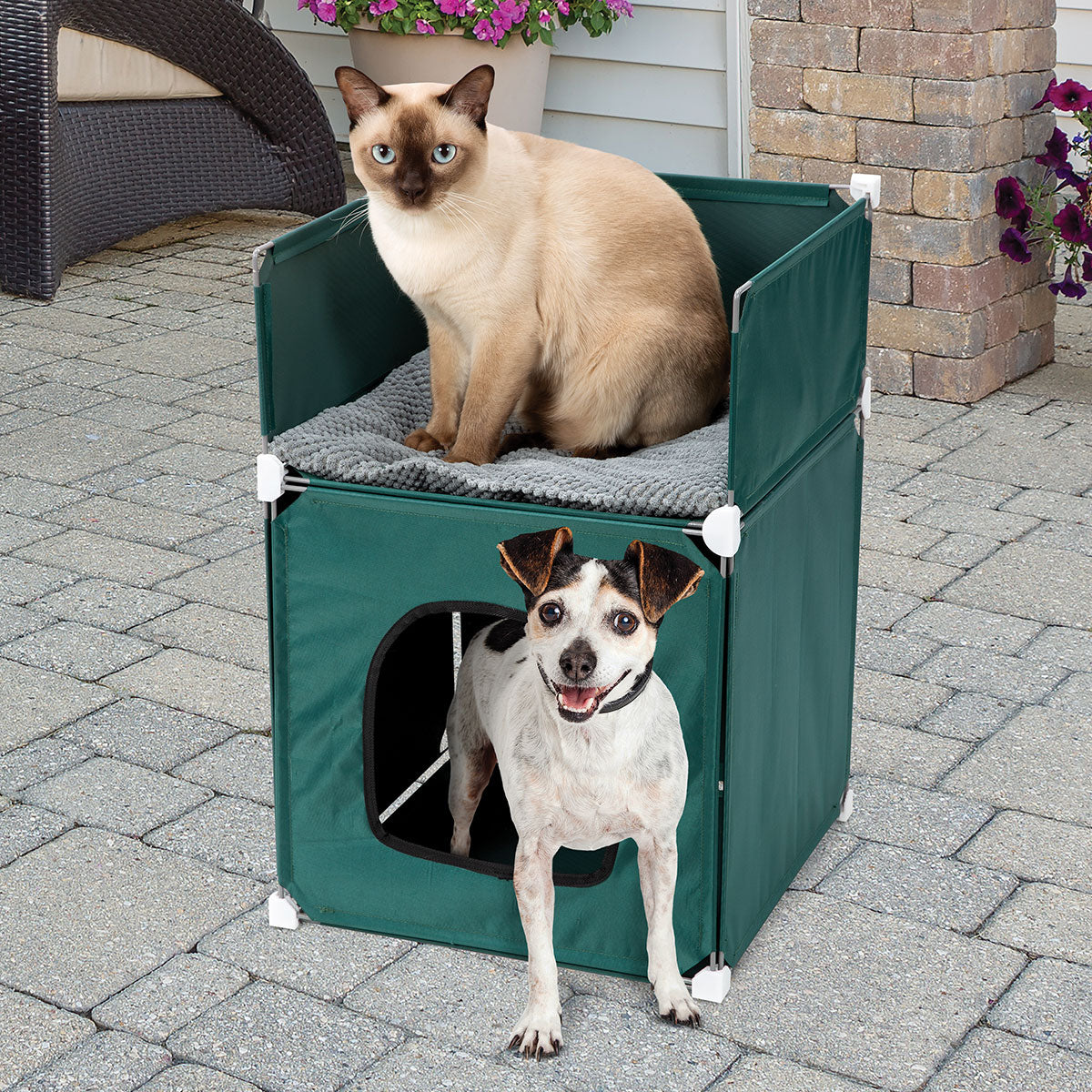 2-Story Pet House