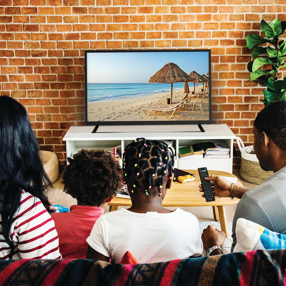 32'' TV with Built-in DVD Player