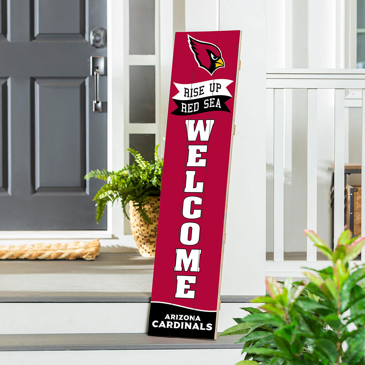 NFL Team Spirit Leaner