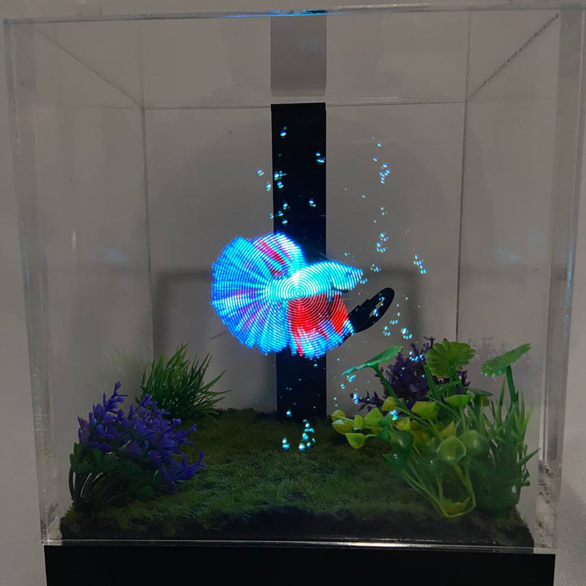 3D Holographic Aquarium - image 25