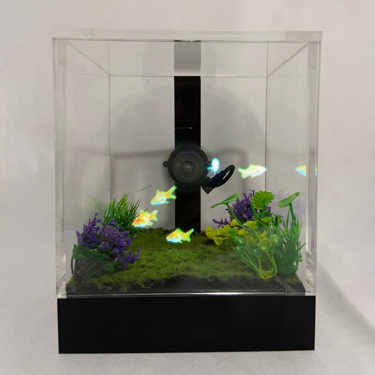 3D Holographic Aquarium - image 26