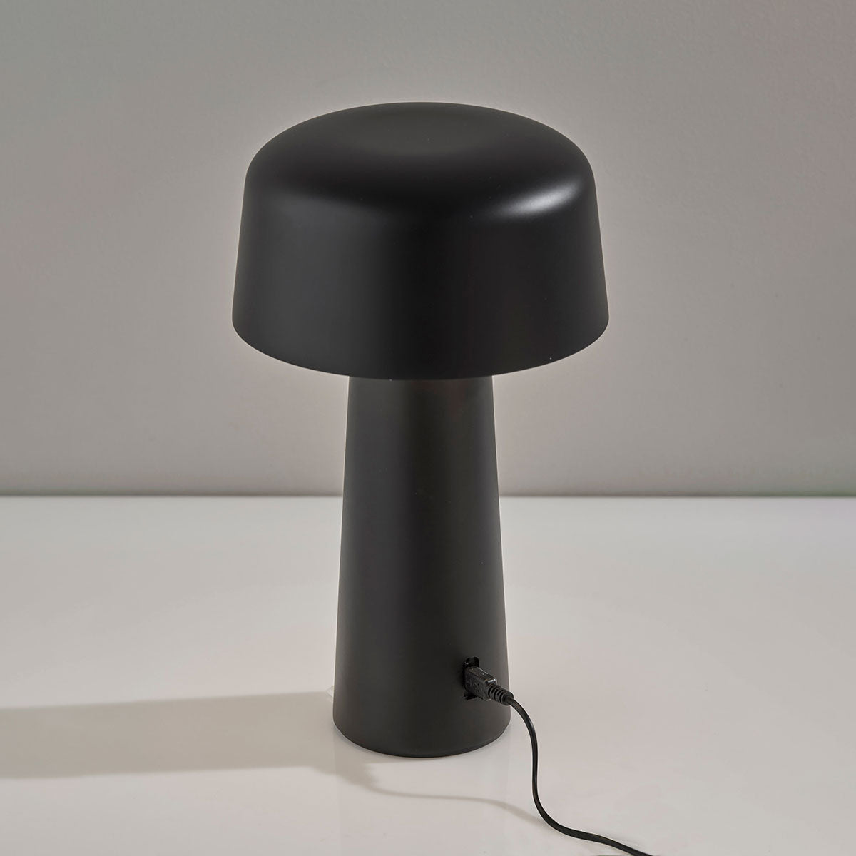 Cordless Indoor/Outdoor LED Diffused Light Table Lamp - image 4