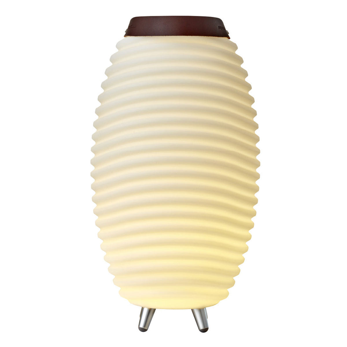 Multi-Function Indoor/Outdoor LED Party Light with Speaker & Cooler - image 3