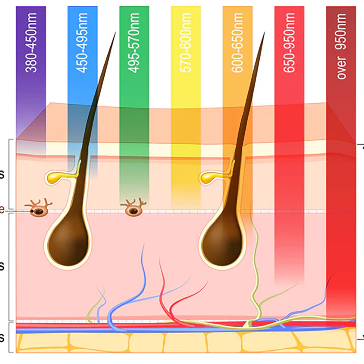 Ultimate LED Light Therapy Device - image 4
