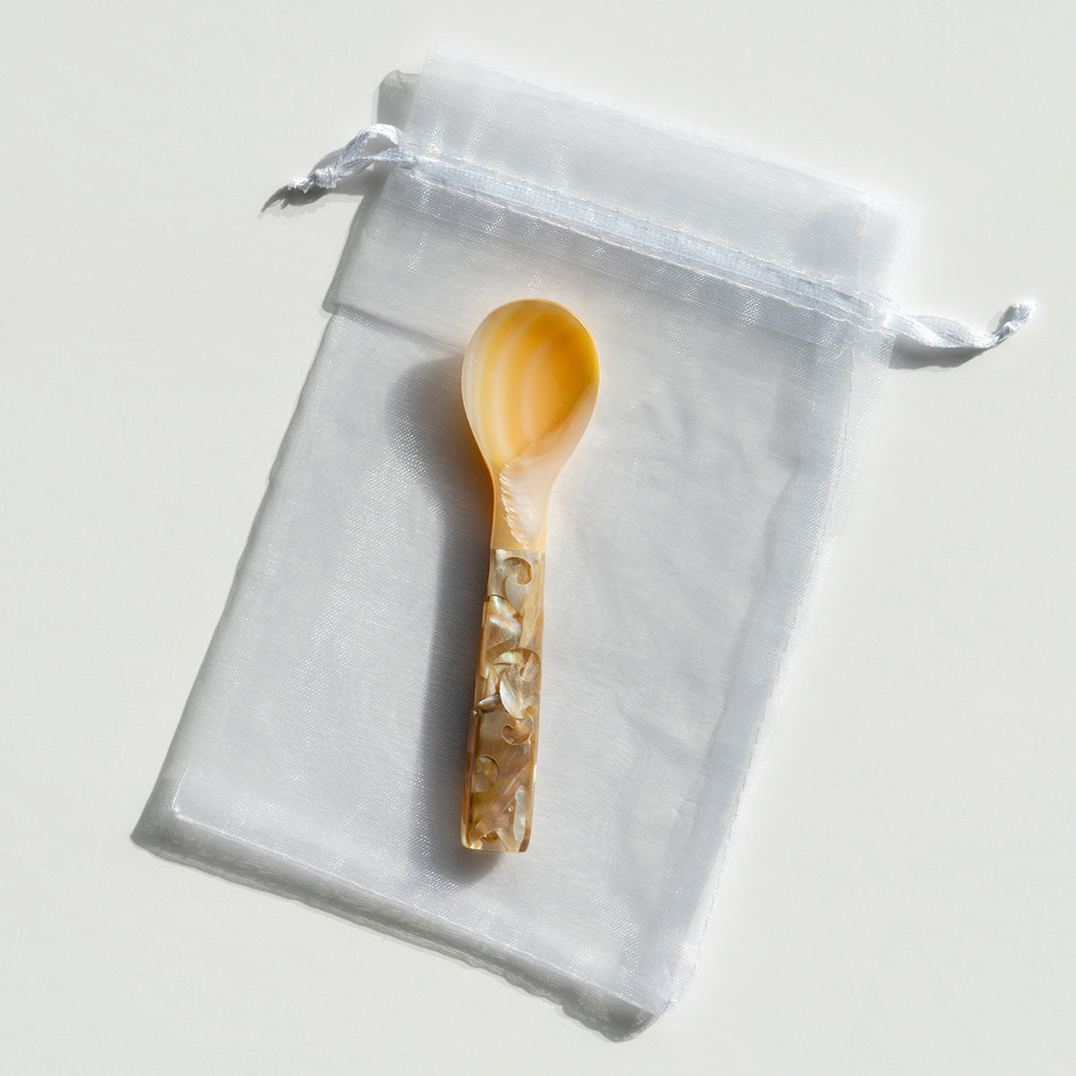 Mother of Pearl Caviar Dish and Spoon Duo - image 5