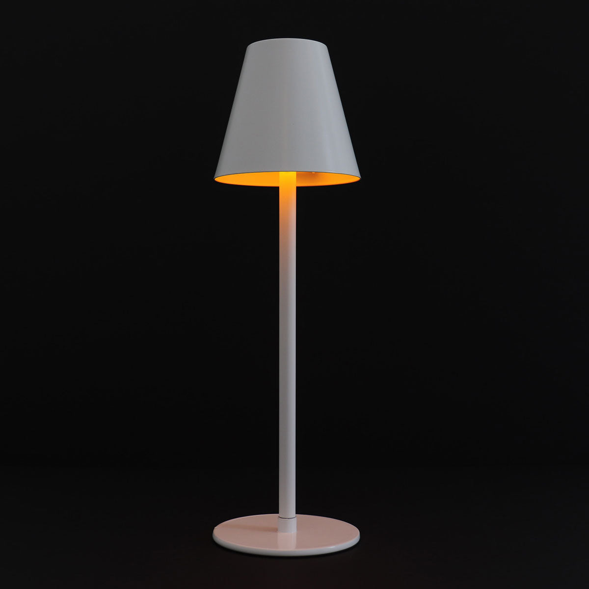4-in-1 Indoor/Outdoor Bug Deterrent Lamp - image 31
