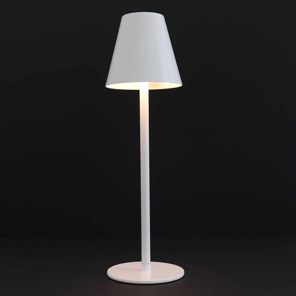 4-in-1 Indoor/Outdoor Bug Deterrent Lamp - image 34