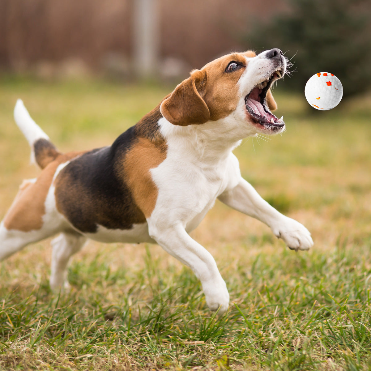 Tennis Ball Launcher for Dogs - image 3