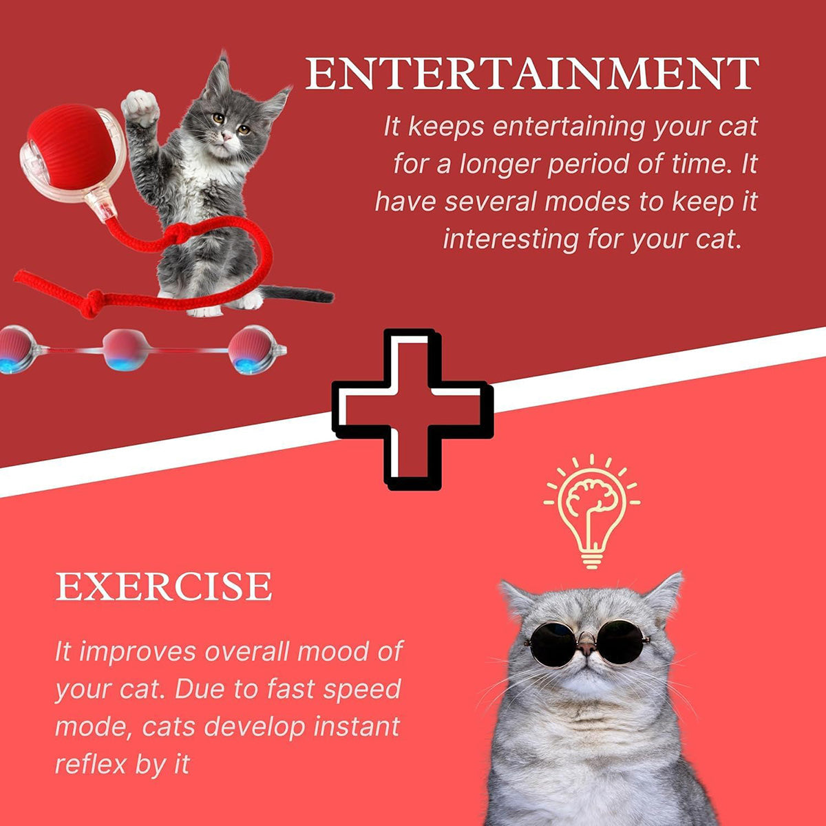 Self-Propelled Cat Enrichment Ball - image 3