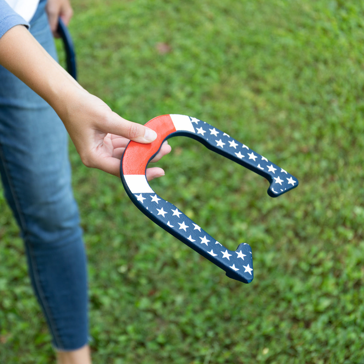 Patriotic Forged Horseshoes - image 8