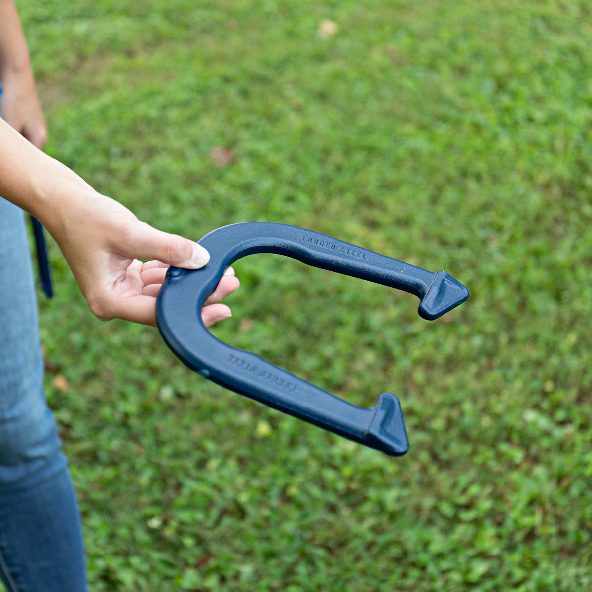 Patriotic Forged Horseshoes - image 9