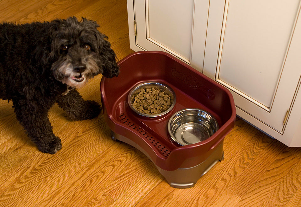 Mess Proof Pet Feeder - image 6