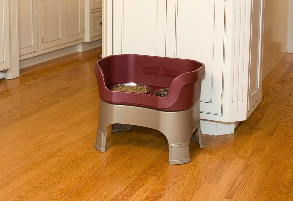 Mess Proof Pet Feeder - image 9