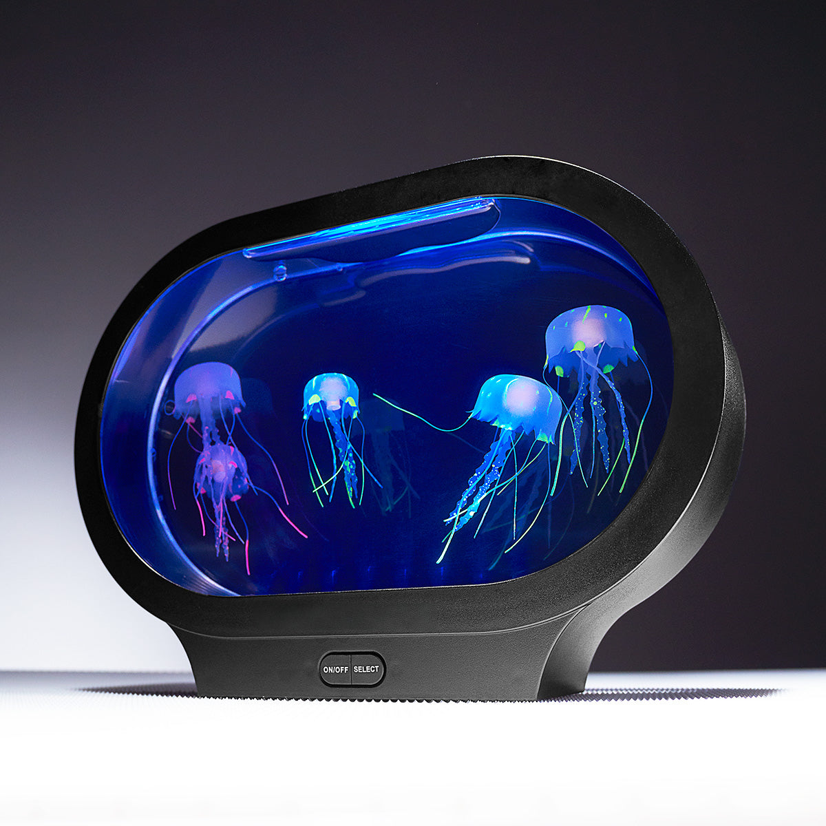 Fantasy Jellyfish Aquarium - image 3