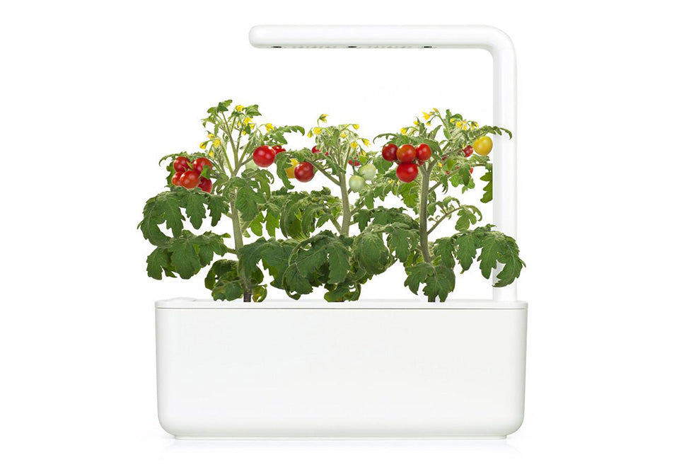 Extra Pods for the World's Smartest Indoor Garden (3-Pack) - image 4