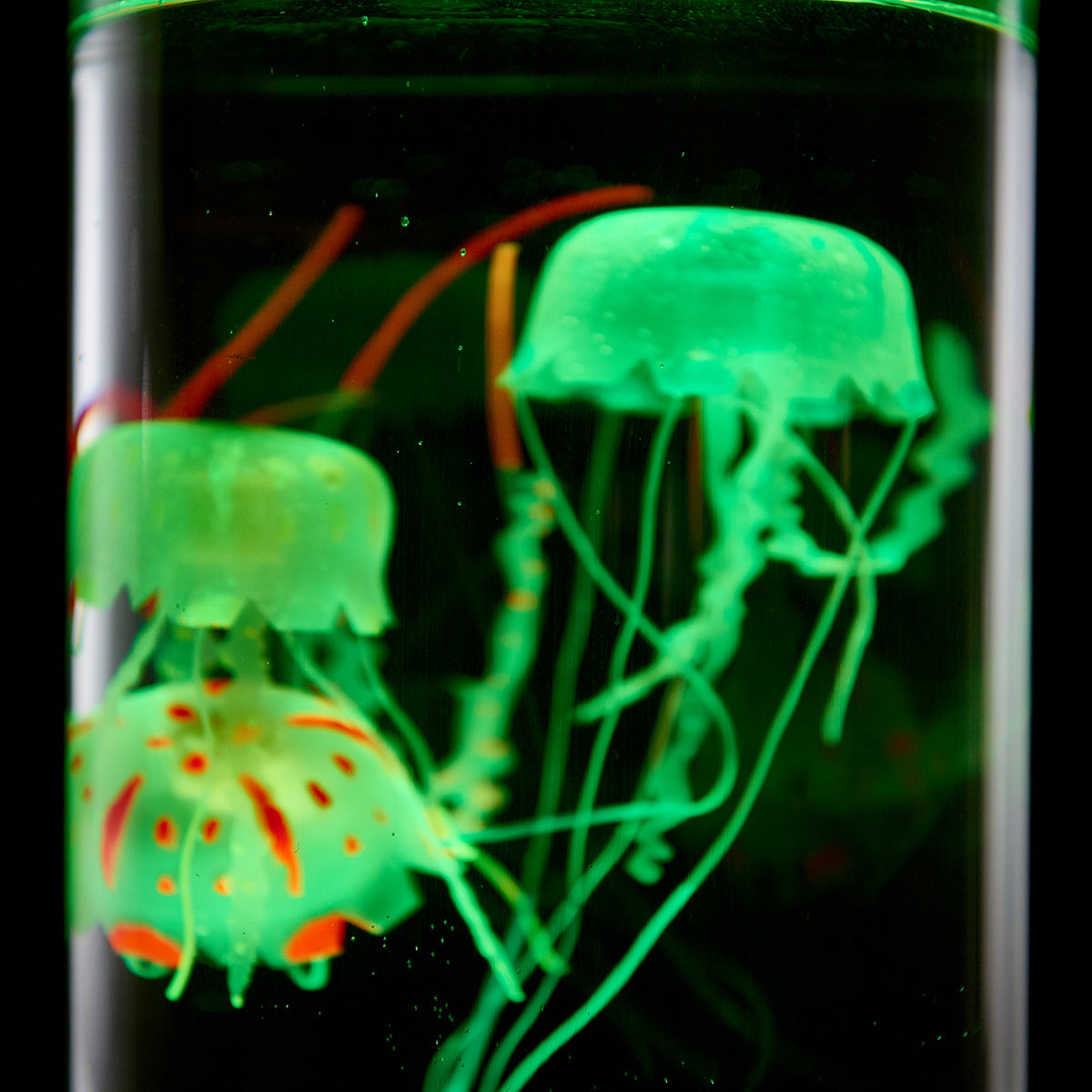 Jellyfish Aquarium - image 6