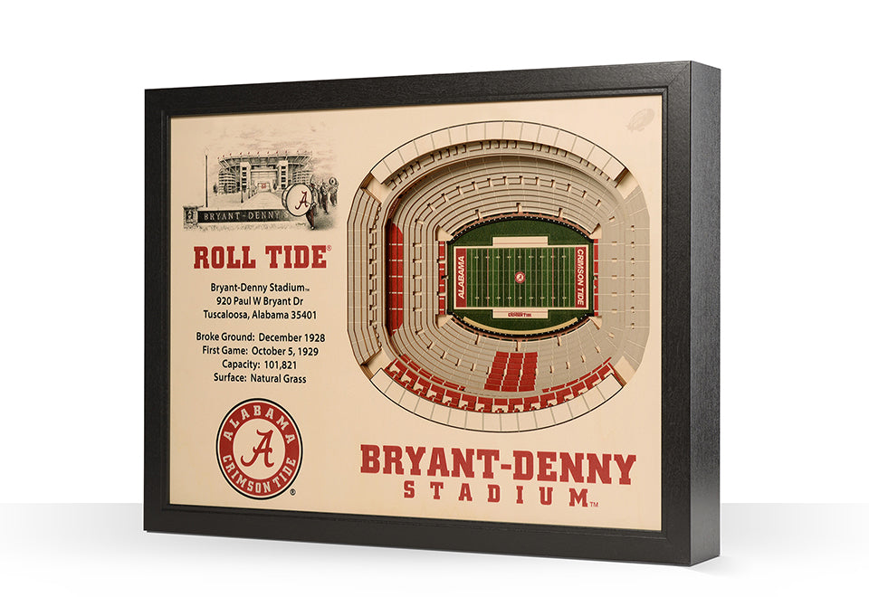 NCAA 3D Stadium Wall Art