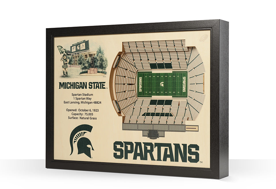 NCAA 3D Stadium Wall Art - image 17