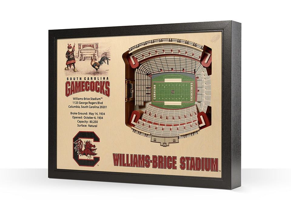 NCAA 3D Stadium Wall Art - image 43