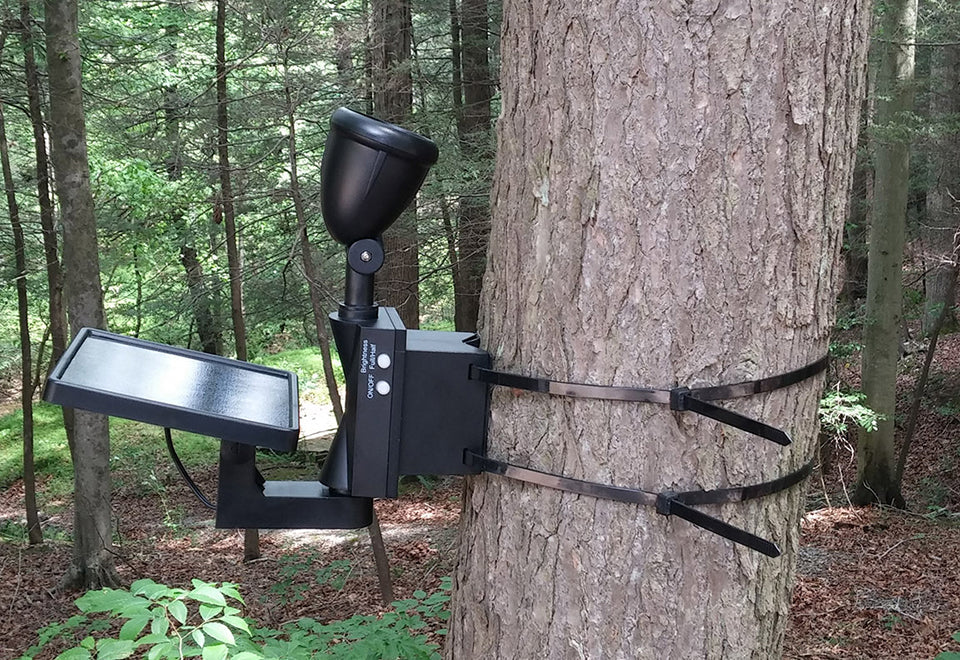 Solar LED Flagpole Light - image 8