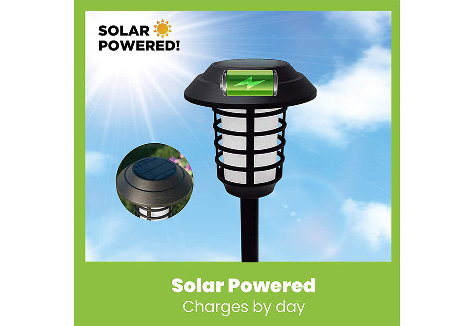 Solar Pathway Lights (Set of 4) - image 11