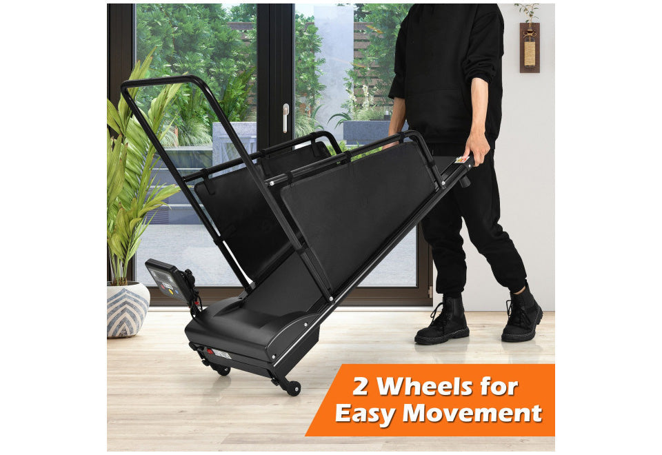 Pet Treadmill - image 4