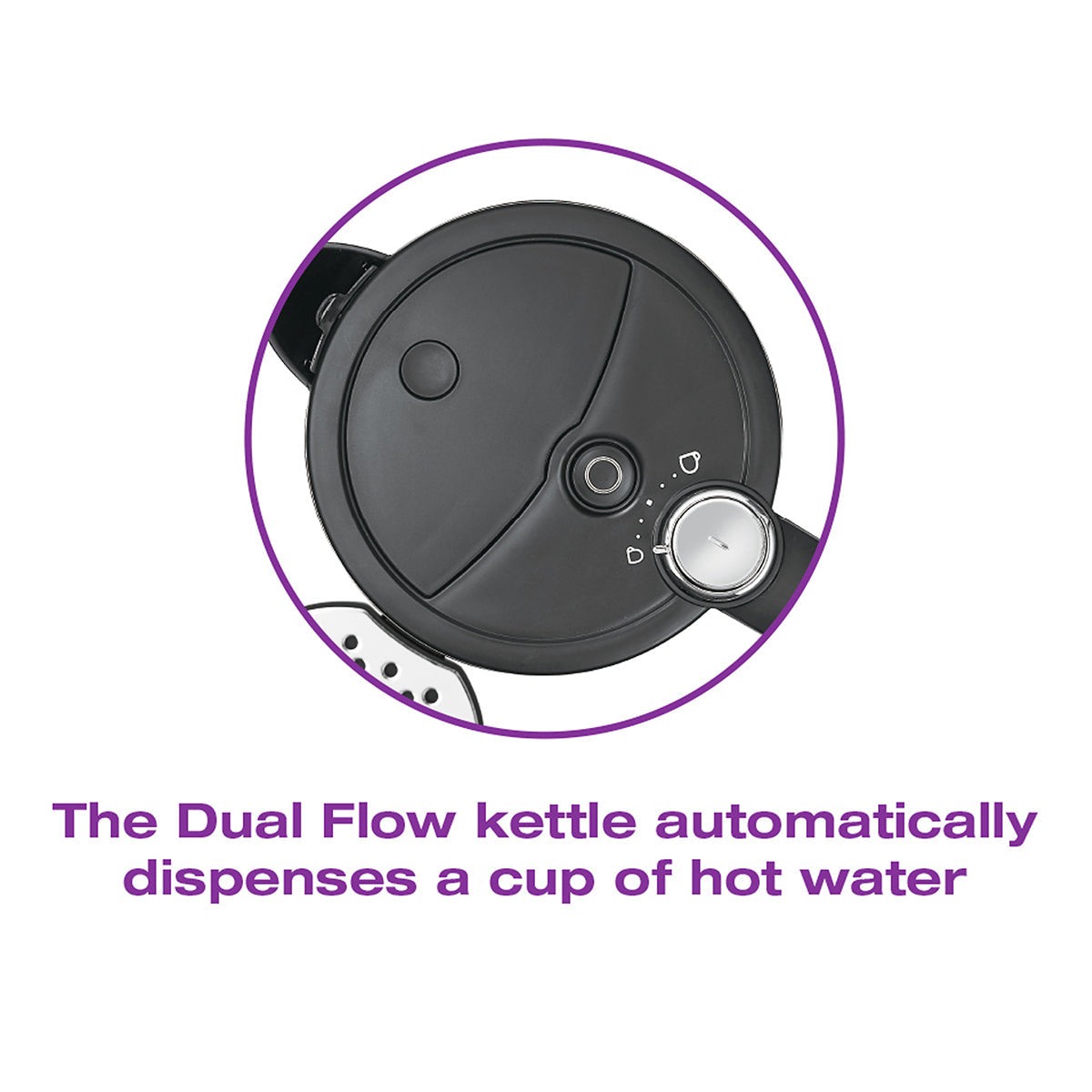 Dual Flow Kettle - image 4