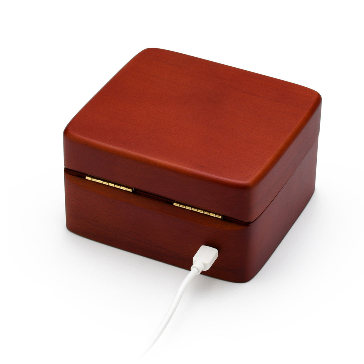 Custom Music Jewelry Box - image 5