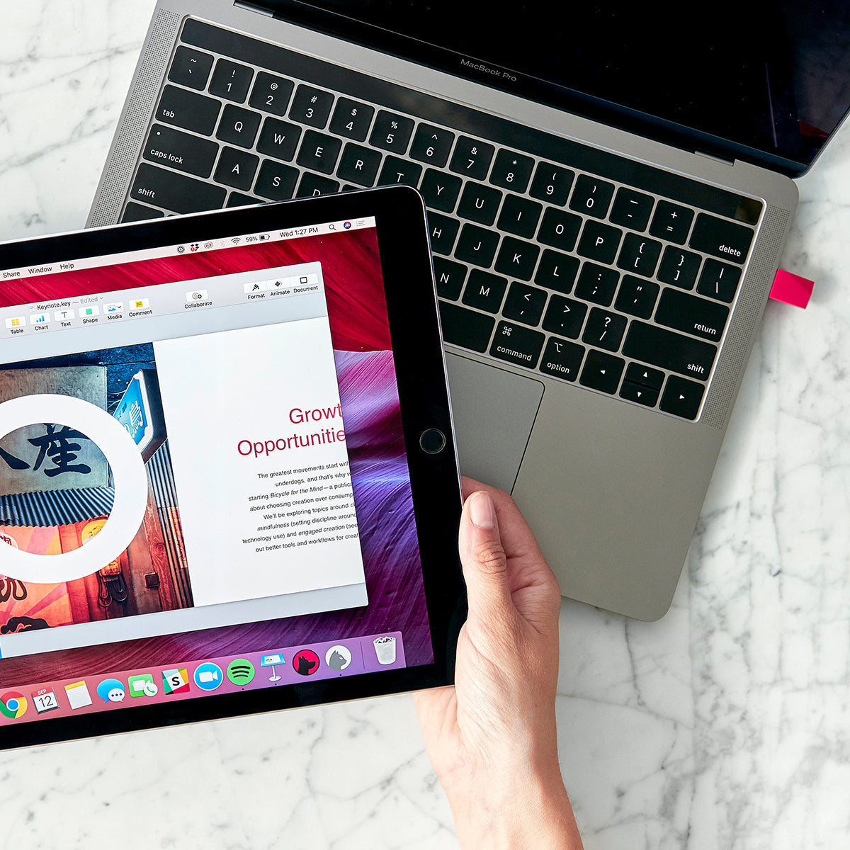iPad-to-Monitor Adapter - image 6