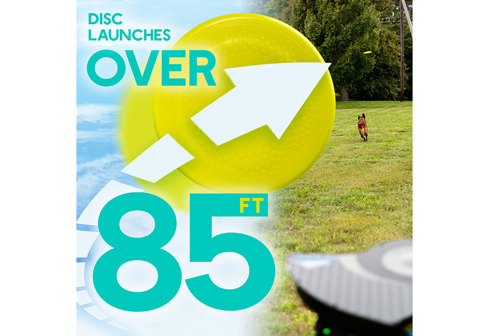 Automatic Dog Disc Launcher - image 6