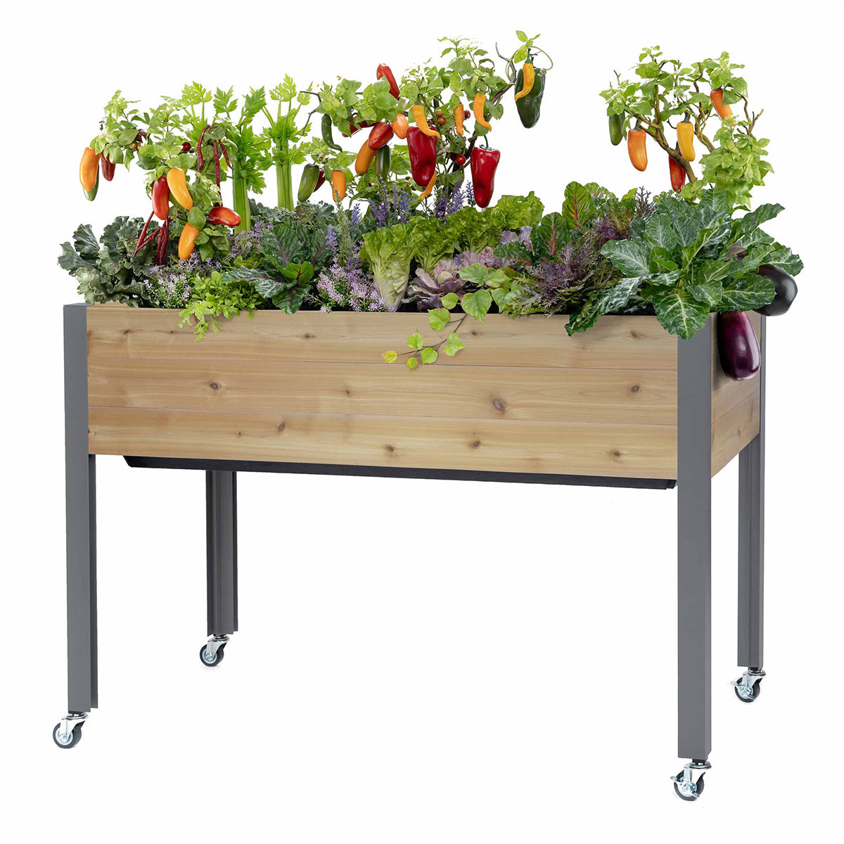 Self-Watering Elevated Planter - image 4