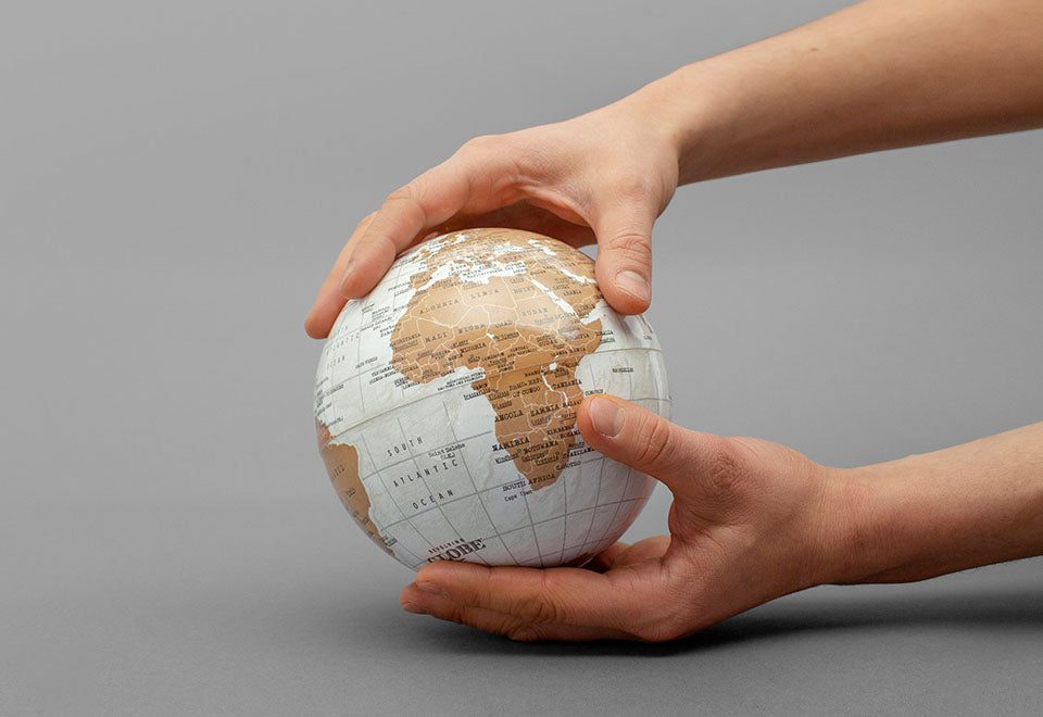Revolving Globe - image 4