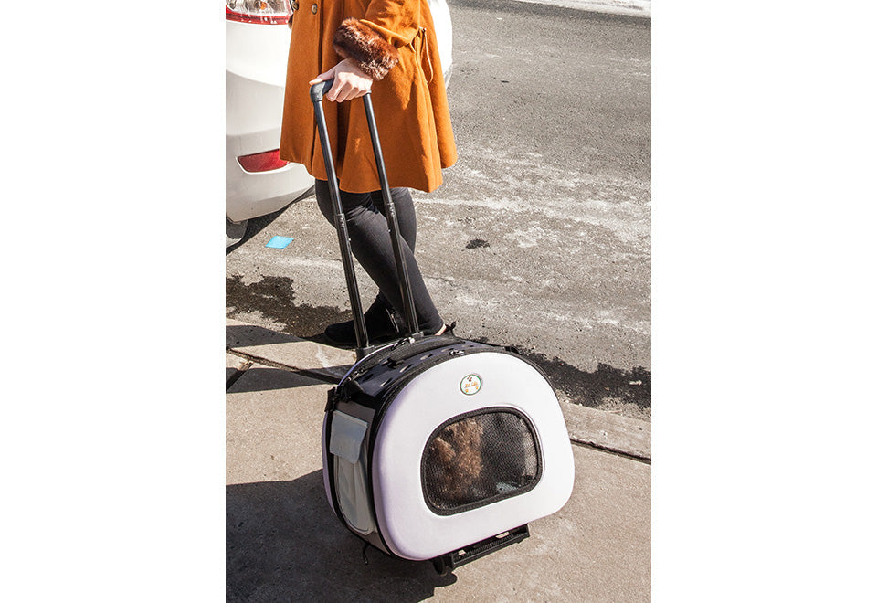 2-in-1 Tough-Shell Wheeled Pet Carrier